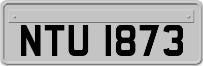NTU1873