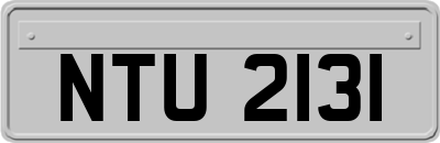 NTU2131