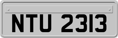 NTU2313