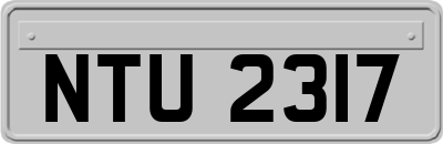 NTU2317