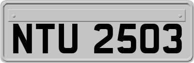 NTU2503