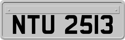 NTU2513