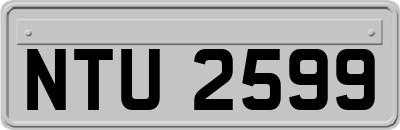NTU2599