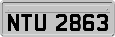 NTU2863