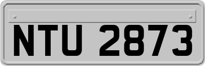 NTU2873