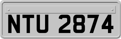 NTU2874