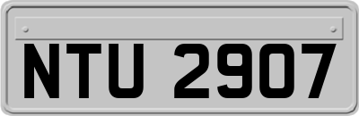 NTU2907