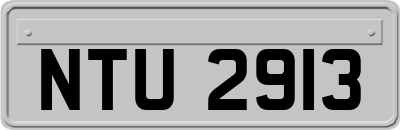 NTU2913