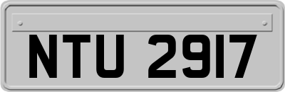 NTU2917