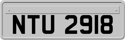 NTU2918