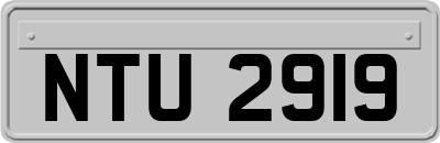 NTU2919