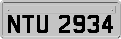 NTU2934