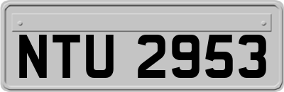 NTU2953