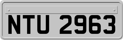 NTU2963
