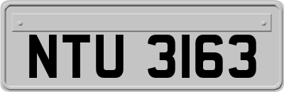NTU3163