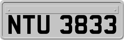 NTU3833