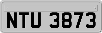 NTU3873