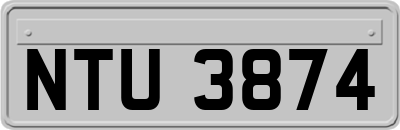 NTU3874