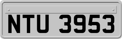 NTU3953