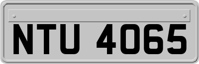 NTU4065