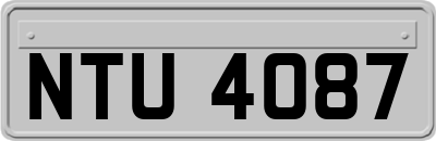 NTU4087