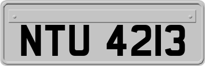 NTU4213