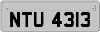 NTU4313