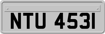 NTU4531