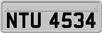 NTU4534