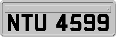 NTU4599