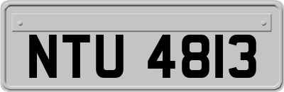 NTU4813