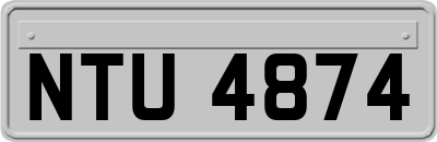 NTU4874