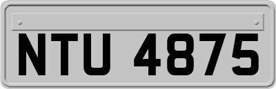 NTU4875