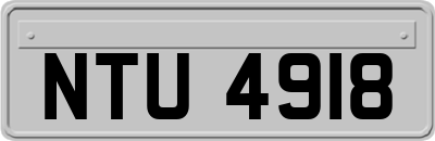 NTU4918