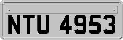 NTU4953
