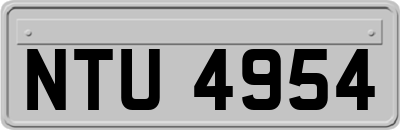 NTU4954