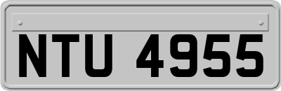NTU4955
