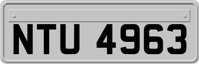 NTU4963