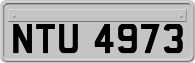 NTU4973