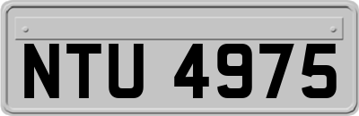 NTU4975