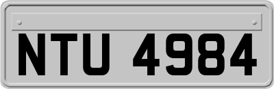 NTU4984