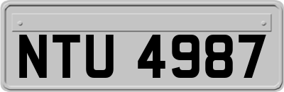 NTU4987
