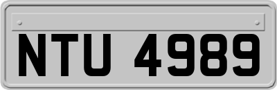 NTU4989