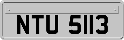 NTU5113