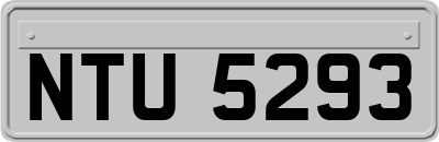 NTU5293