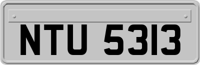 NTU5313