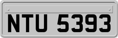 NTU5393