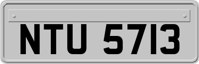 NTU5713