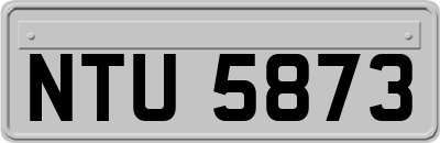 NTU5873