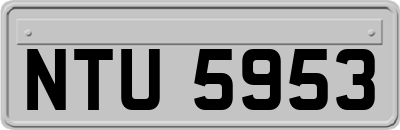 NTU5953